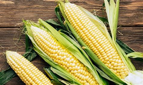 WebAstrologers Dream Dictionary | Corn | Maize Dreams