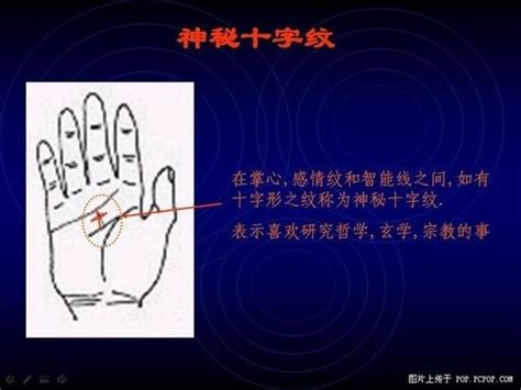 男人手掌指纹算命图解 指纹怎么看运势-十二星座网