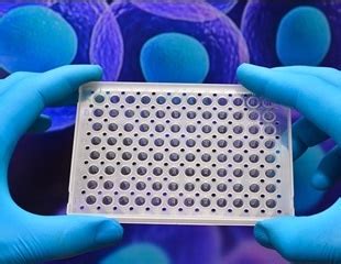 Protein Microarray Applications 的图像结果