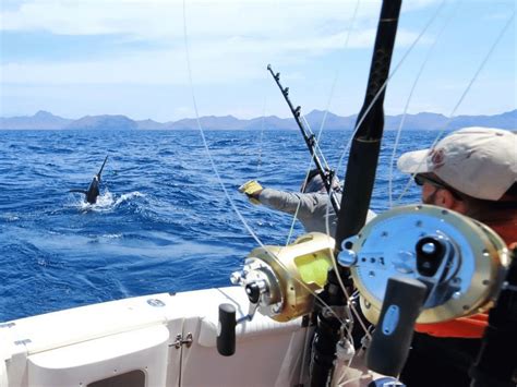 Image result for Trolling for Fish