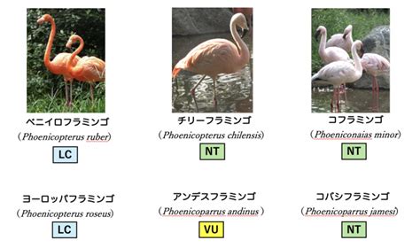 Image result for Example of a Form Written Using Semantic HTML