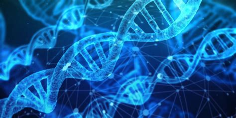 DNA digital data storage Data Encoding 的图像结果