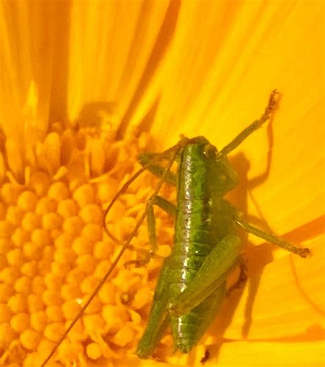 OYATO PARK (2025) All You Need to Know BEFORE You Go (with Photos ...