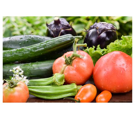 Laguna Beach Library Master Gardners Workshop Saturday February 15 2025 ...