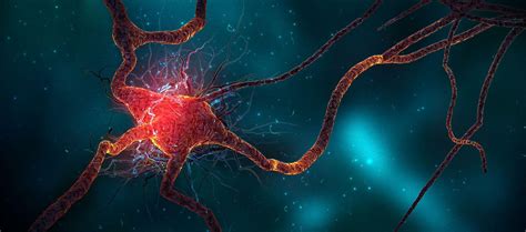 Microbiology Computer Backgrounds 的图像结果