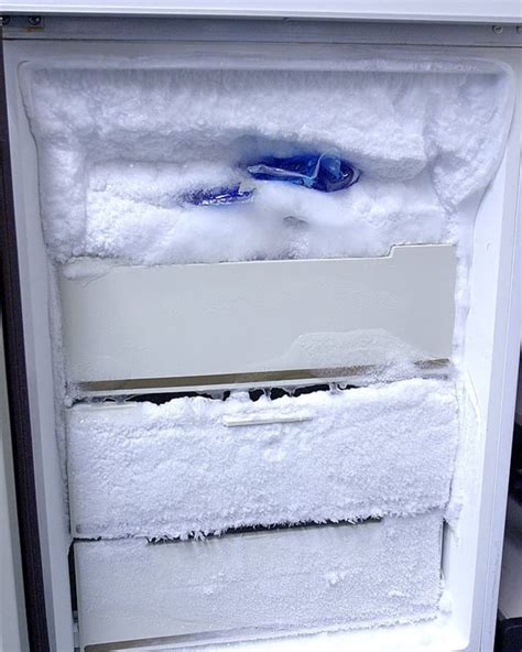 Image result for Freezer Defroster