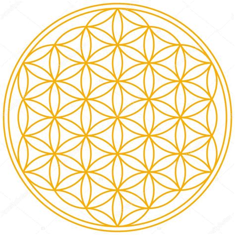 Image result for Flower of Life Pattern
