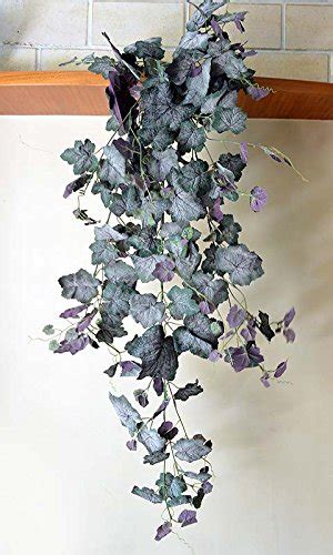 Buy Ginni Bloom Artificial Grape Ivy Creeper Online at Low Prices in ...