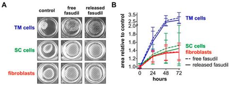 Fasudil Loaded PLGA Microspheres as Potential Intravitreal Depot ...