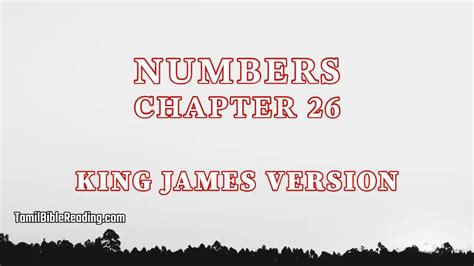 Numbers to Infinity Part 26 的图像结果