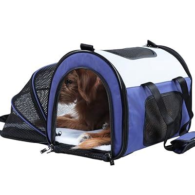Petsfit Expandable Foldable Cat Carrier, Blue Color, India | Ubuy