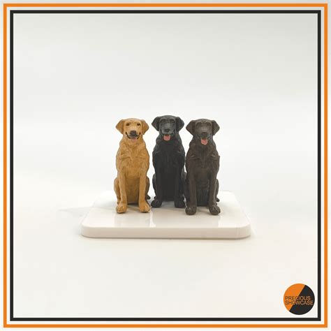 Image result for Cane Labrador