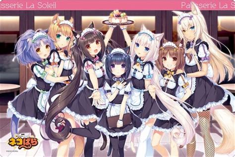 Image result for How to Set Module