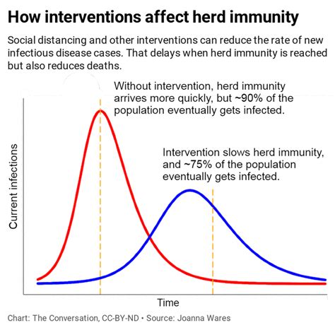 Coronavirus: Trying to reach herd immunity without a vaccine would be ...