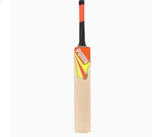 PUMA Future 3.1 Kashmir Willow Season Cricket Bat(full size) Kashmir ...