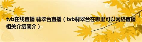 TVB Network Vision TVB Jade 粤语片台 TVB Classic Channel, vision logo ...