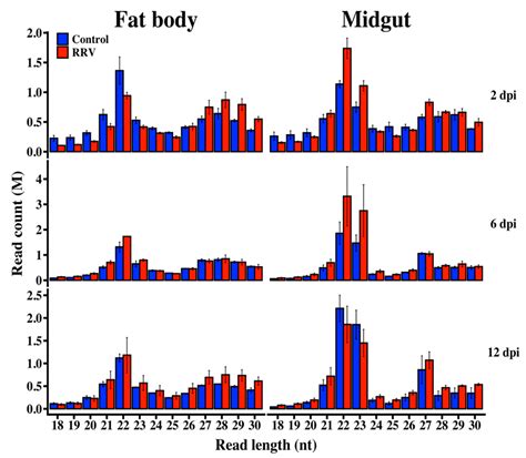 Ross River Virus Provokes Differentially Expressed MicroRNA and RNA ...