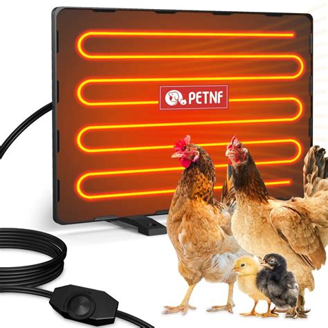 6 Best Heaters for Chicken Coops in 2024 - The Poultry Feed