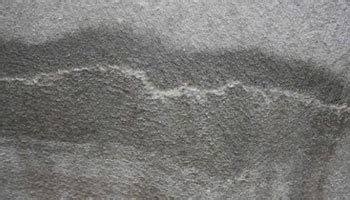 Bioconcrete or Self-healing Concrete to Repair Cracks -BuildersMART