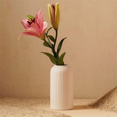 Buy PUREZENTO White Ribbed Texture Ceramic Vase - 6 Inch | Vases for ...