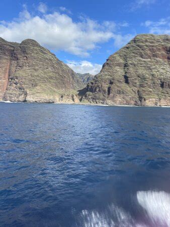 Blue Dolphin Charters (Eleele) - All You Need to Know BEFORE You Go