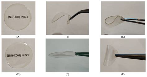 Olefin-Metathesis-Derived Norbornene–Ethylene–Vinyl Acetate/Vinyl ...