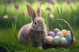 Image result for Easter Eggs and Bunny Template