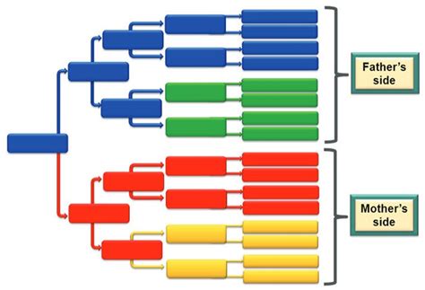 Image result for AncestryDNA Color Coding