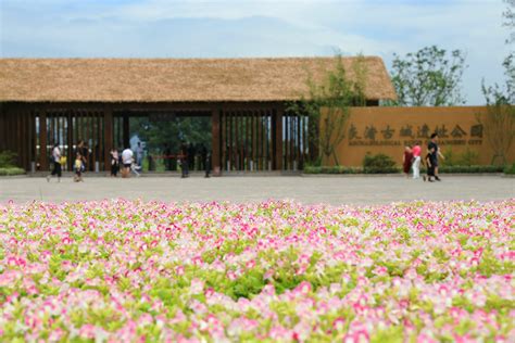 百余名媒体人走进良渚古城遗址 用镜头记录世界文化遗产