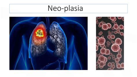 Medical terminology word parts and building terms.pptx