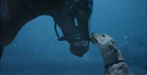 Budweiser's Super Bowl 58 Commercial Bring Back Clydesdales