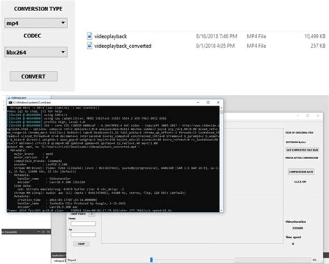 Video File Conversion Tutorial 的图像结果