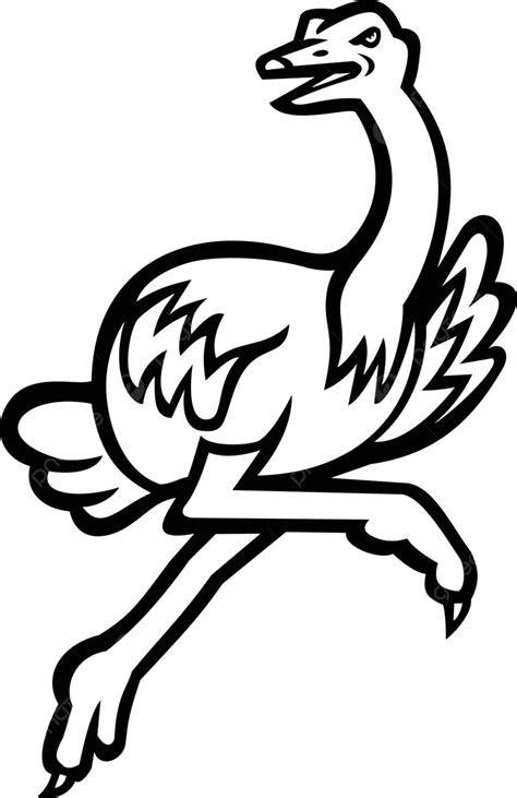 Side View Of A Black And White Mascot Ostrich Sprinting At Maximum Velocity Vector, Graphic ...
