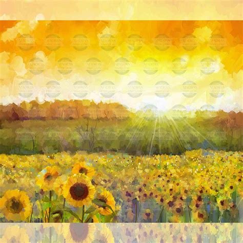 Sunflower Fields - Printed Backdrop - Fabric - 5 by 7 feet – Madras ...