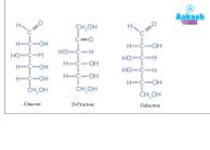 Carbohydrates: Structure, Formula & Classification | AESL