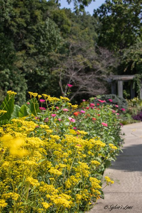 Greensboro Arboretum, NC - Sylvie's Adventures