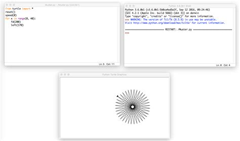 Image result for Turtle Program Basics