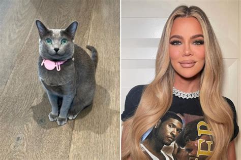 Image result for Arduino for Loop Example for Light