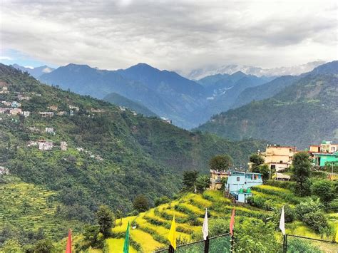 GMVN TOURIST GUEST HOUSE UKHIMATH - Guesthouse Reviews & Photos ...