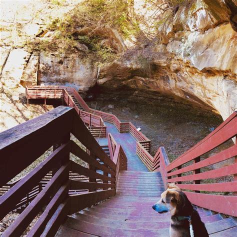 Hackberry Hollow Campground — Indian Cave State Park | Shubert, Nebraska