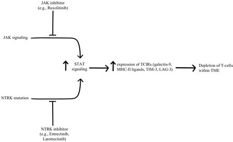 Mechanisms of Resistance and Strategies to Combat Resistance in PD-(L)1 ...