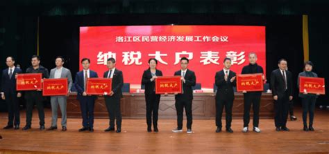 2021年度洛江区民营企业纳税大户名单公布-洛江区人民政府