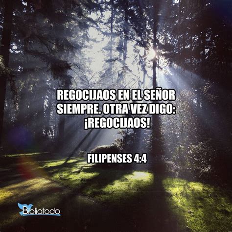 Filipenses 4:4 RV1960 - Regocijaos en el Señor siempre. Otra vez digo ...