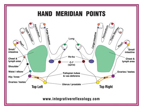 How Are Fingers Numbered Medically at Richard Dillard blog