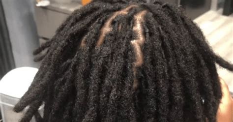 Image result for Interlocking Dreadlocks