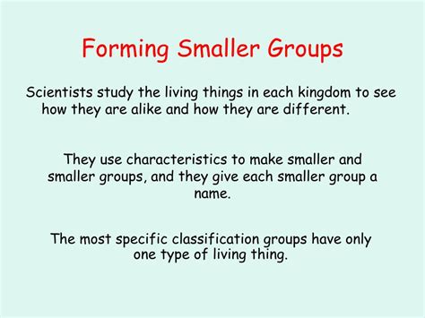 Classification System Flashcards 的图像结果