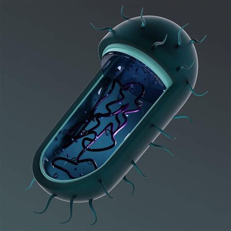 Psd medical bacteria micro organism 3d illustration | Premium PSD