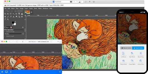 RustDesk Tutorial 的图像结果