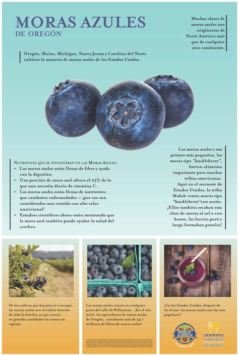 How To Say Blueberry In Spanish