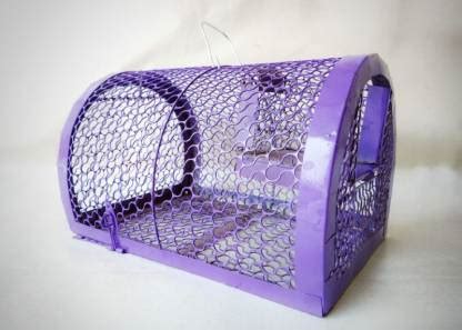 Dxplore Stainless Steel Rat Trap Cage | Mouse and Mice Rat Catcher Cage ...